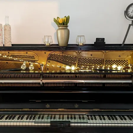 Einzigartige -hier Im Jetzt- * Felsberg