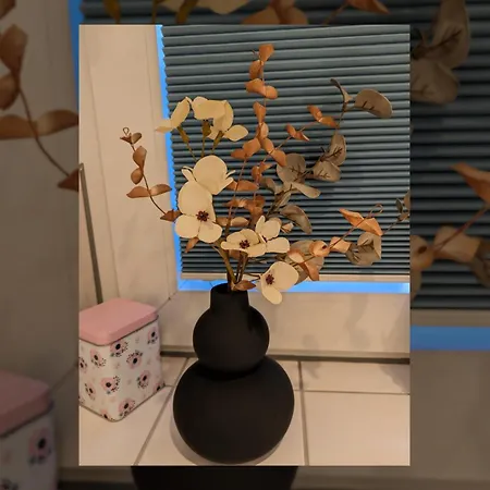 Einzigartige -hier Im Jetzt- Felsberg