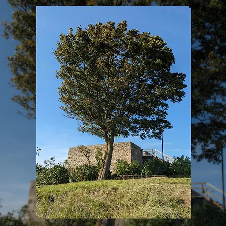 Einzigartige -hier Im Jetzt-