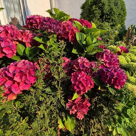 Einzigartige -hier Im Jetzt- Апартаменты