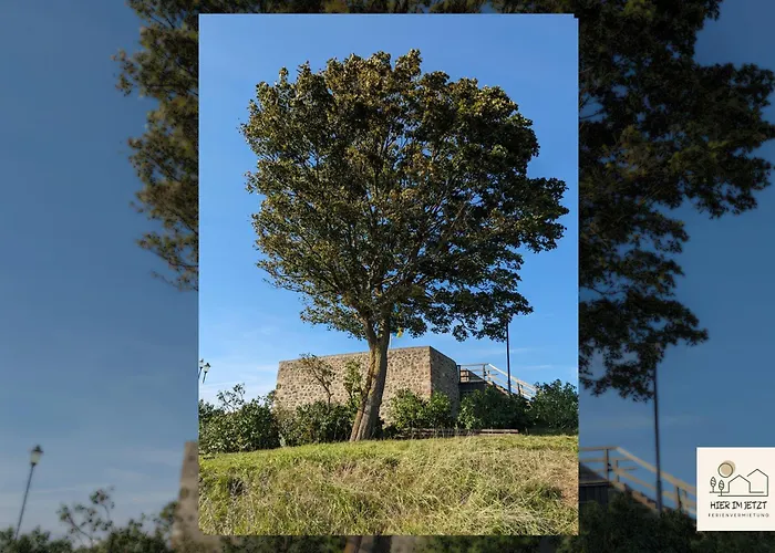 Einzigartige -hier Im Jetzt-