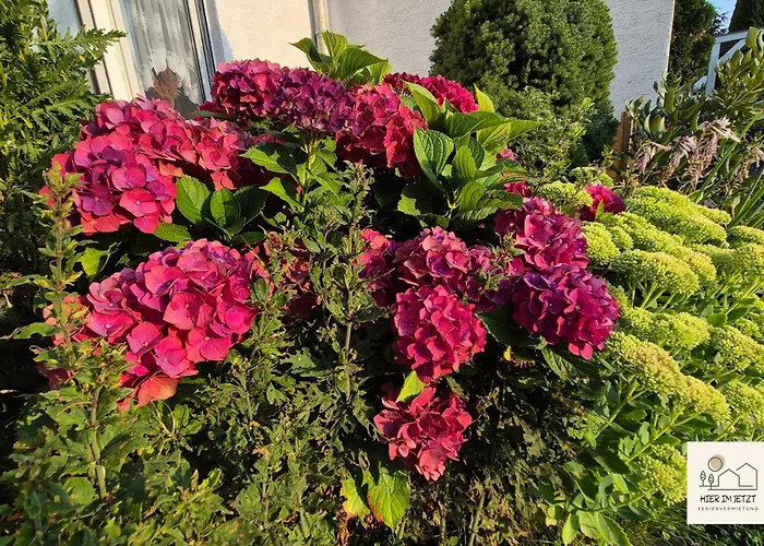 Einzigartige -hier Im Jetzt- Διαμέρισμα